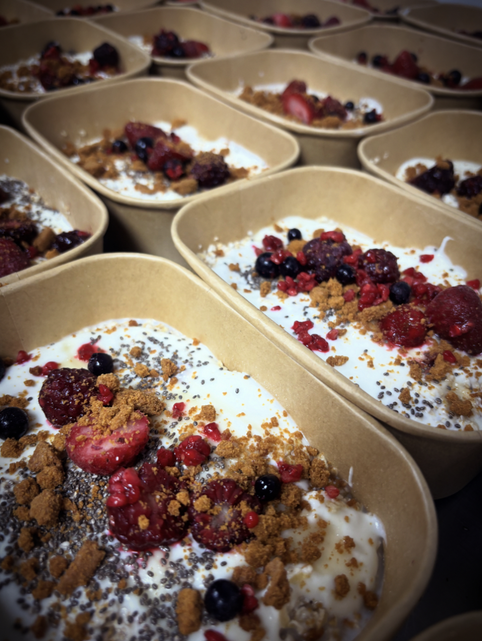 Protein Meal Pack 4 - 2550 Calories